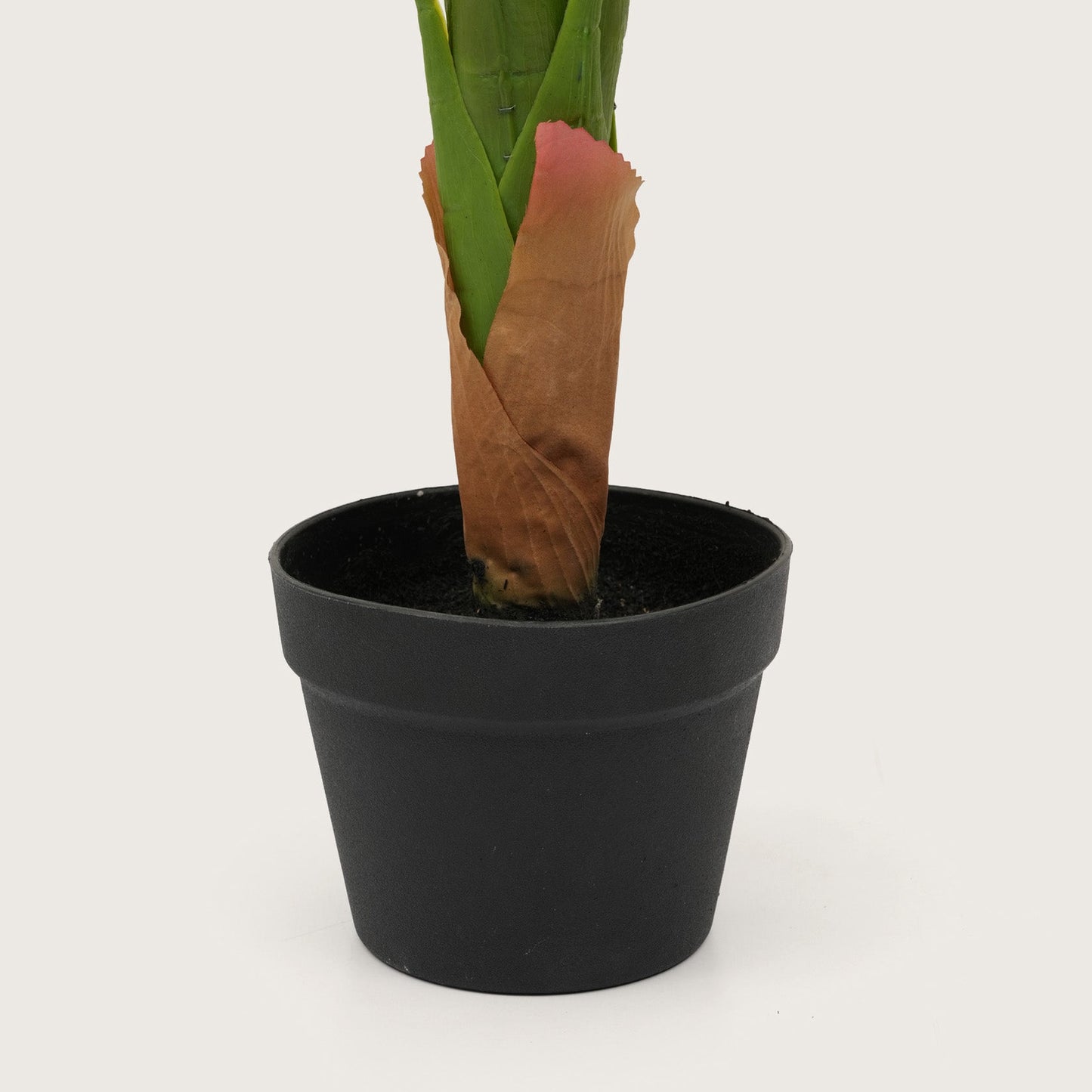 Vertical Botanical Accent in Tapered Base — Lush Greenery with Vibrant Floral Peaks