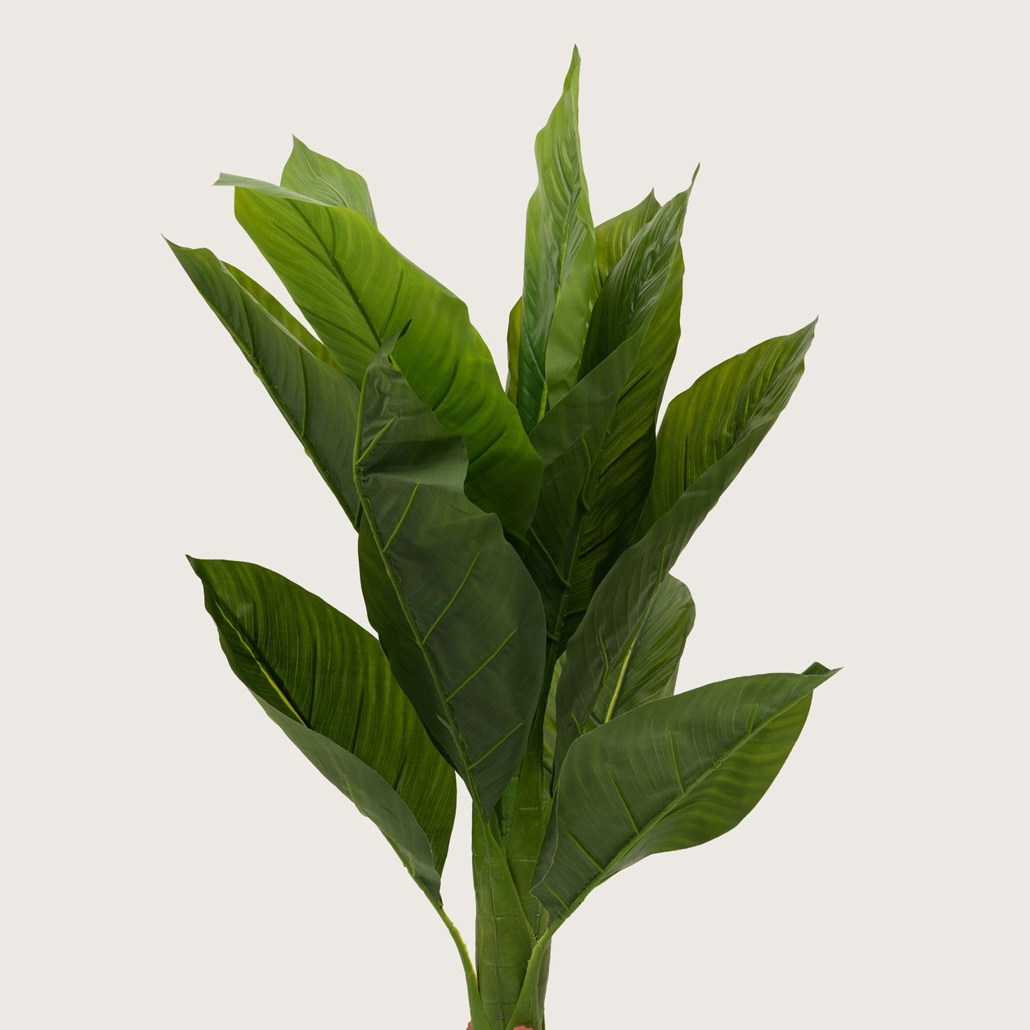 Vertical Botanical Accent in  Tapered Base — Lush Greenery with Vibrant Floral Peaks