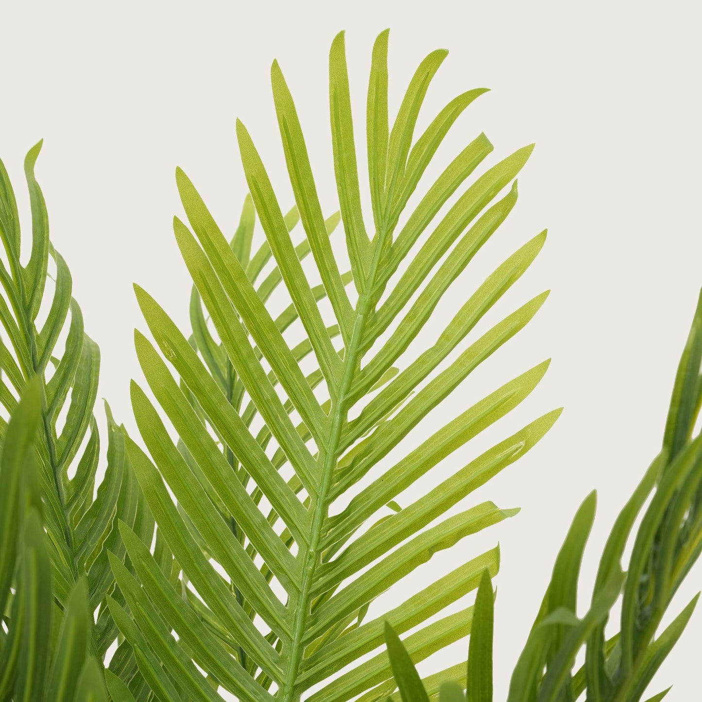 Architectural Tropical Accents in Sleek Contemporary Base