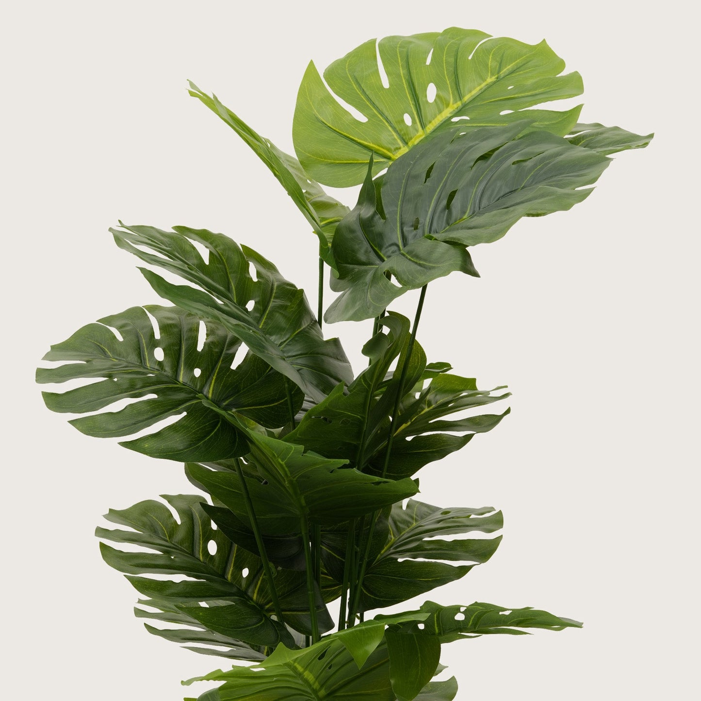 Grand Architectural Floor Statement — Lush Multi-Tiered in Modern Contrast Base