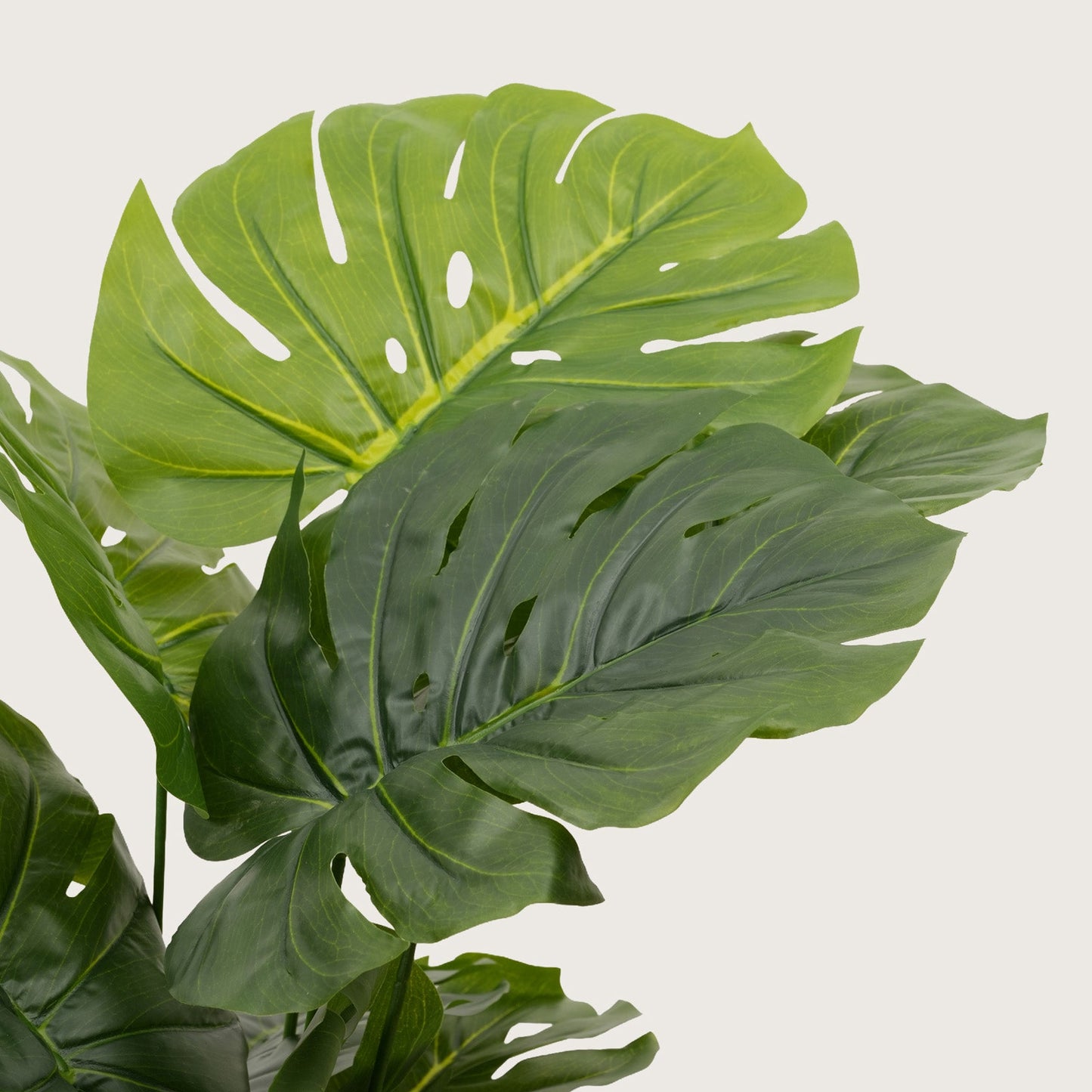 Grand Architectural Floor Statement — Lush Multi-Tiered in Modern Contrast Base