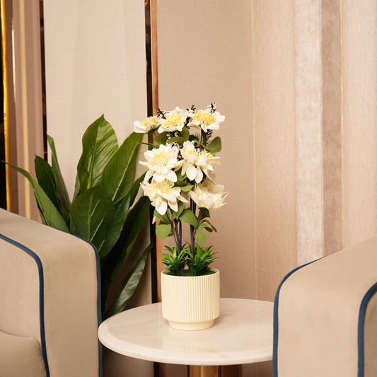 Artificial White Dahlias Flowers With Ceramic Pot